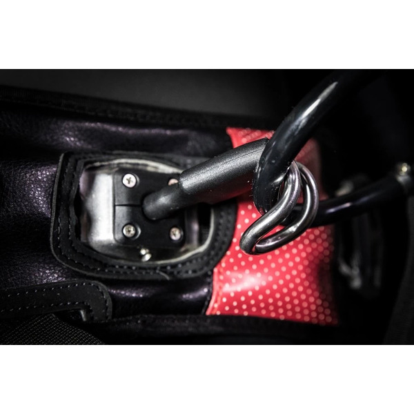 Harness HB Legacy 3D - 5