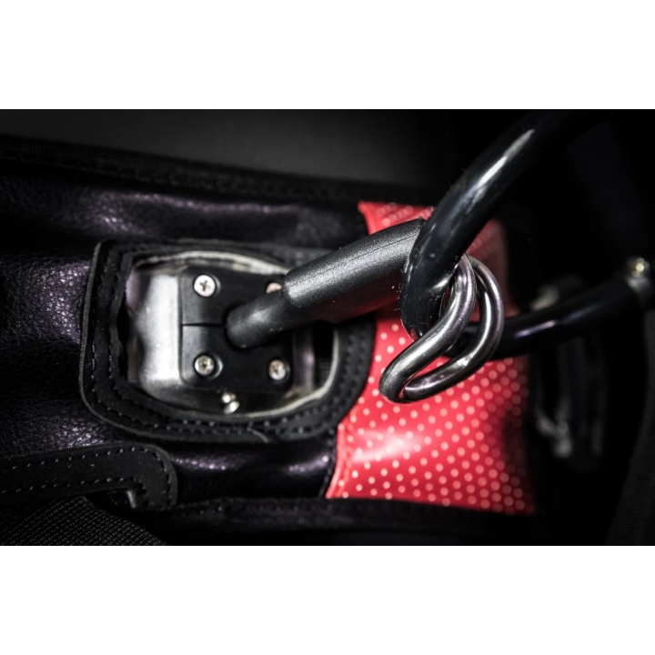 Harness HB Legacy 3D - 5