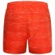 Men's shorts Dare2b Retread Trail Blaze - 3