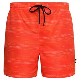 Men's shorts Dare2b Retread Trail Blaze - 1