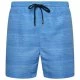 Men's shorts Dare2b Retread Methyl Blue - 1