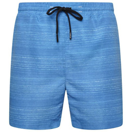 Мъжки борд шорти Dare 2b Retread Methyl Blue - 1