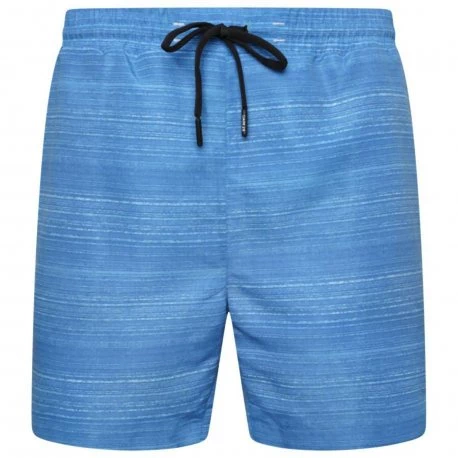Men's shorts Dare2b Retread Methyl Blue - 1