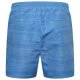 Men's shorts Dare2b Retread Methyl Blue - 4