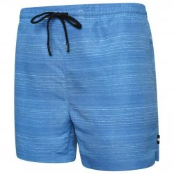 Men's shorts Dare2b Retread Methyl Blue - 2