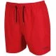 Men's shorts Regatta Mawson Pepper - 1