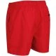 Men's shorts Regatta Mawson Pepper - 3