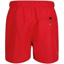 Men's shorts Regatta Mawson Pepper - 4