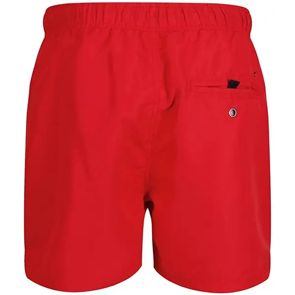Men's shorts Regatta Mawson Pepper - 4