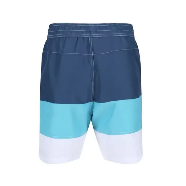 Men's shorts Regatta Bratchmar CT2 - 4