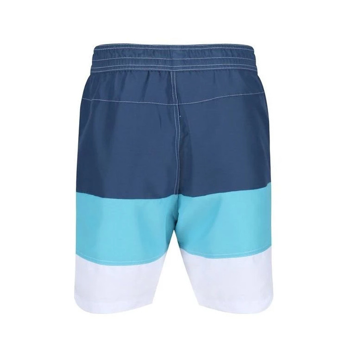 Men's shorts Regatta Bratchmar CT2 - 4