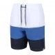 Men's shorts Regatta Bratchmar I1Q - 2