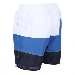 Men's shorts Regatta Bratchmar I1Q - 3