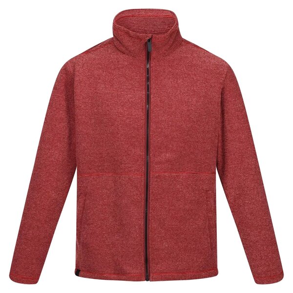 Men's fleece Regatta Eilon - 3