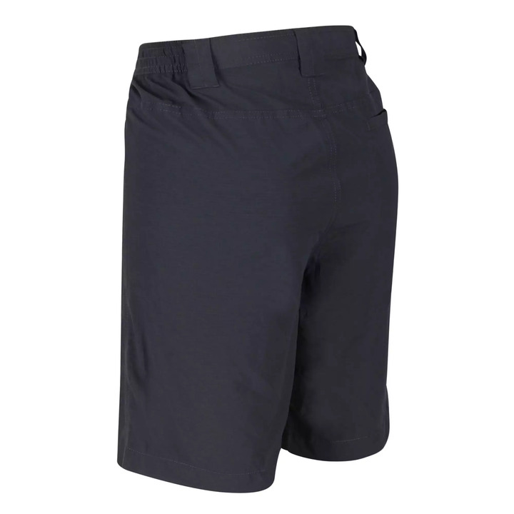 Men's short pants Regatta Delgado Seal Grey - 3