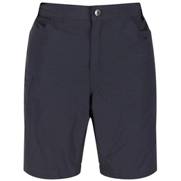 Men's short pants Regatta Delgado Seal Grey