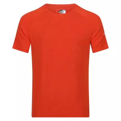 Men's T-shirt Regatta Ambulo Active Rusty Orange