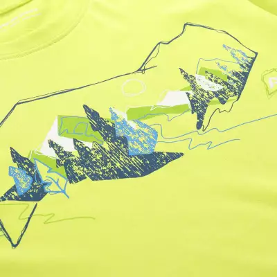 Мъжка тениска Alpine Pro Bolen, зелена