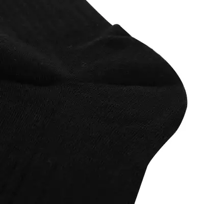 Socks Alpine Pro Aman