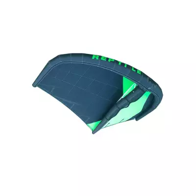 Wing set Reptile