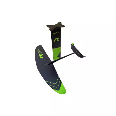 Wing set Reptile