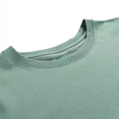 Men's T-shirt Alpine Pro EKK Green