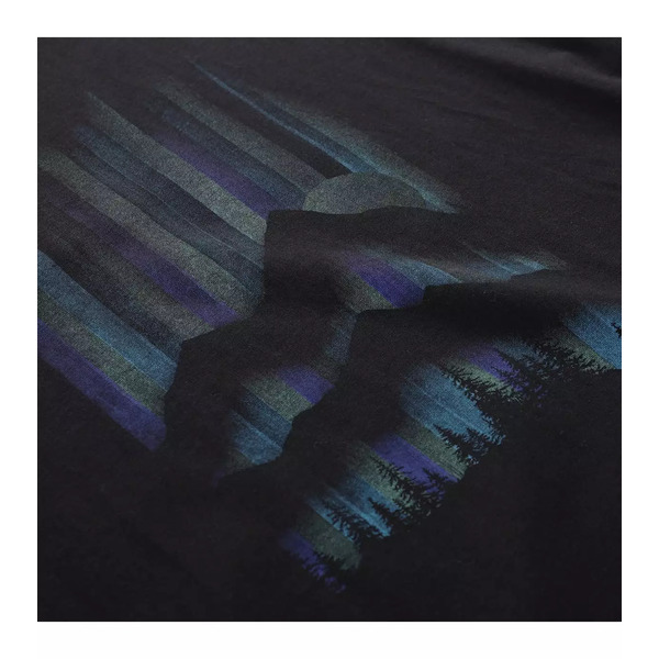 Мъжка тениска Alpine Pro EKK черна - 5