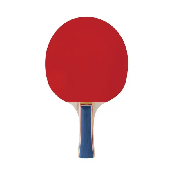 Table tennis bats Spokey Training Pro - 2