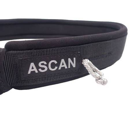 Ascan Wing & Bord Belt