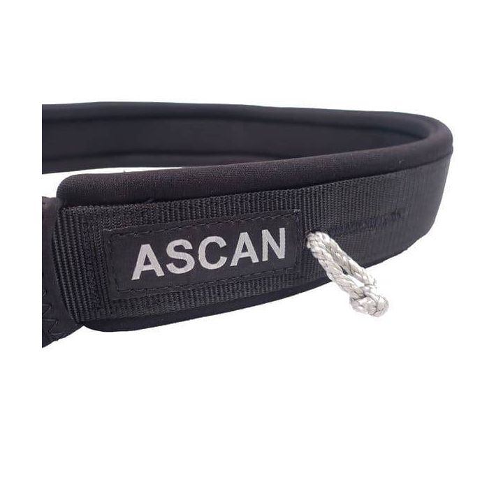 Ascan Wing & Bord Belt