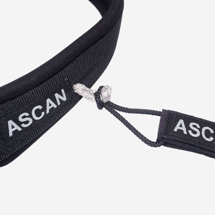 Ascan Wing & Bord Belt