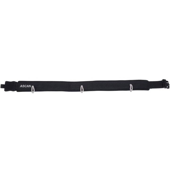 Ascan Wing & Bord Belt