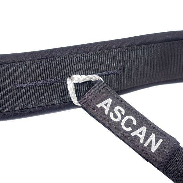 Ascan Wing & Bord Belt
