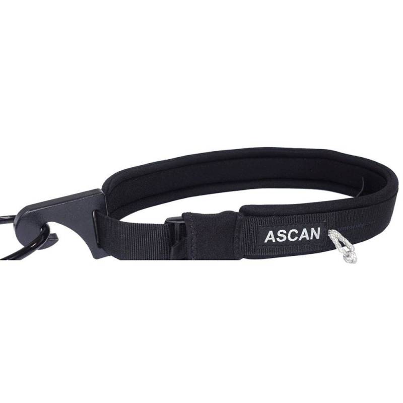 Ascan Wing & Bord Belt