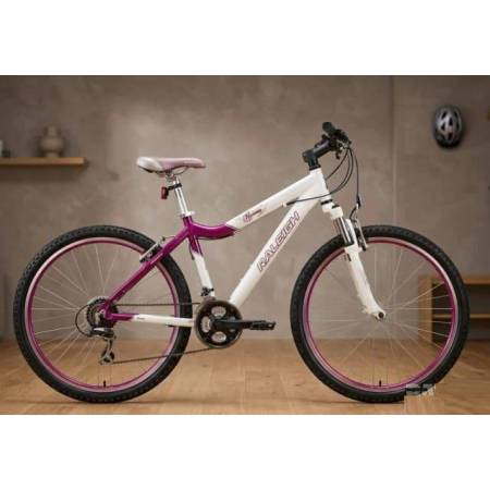Used bicycle Raleigh Harmony