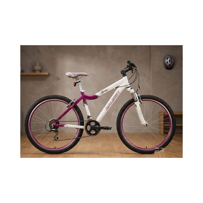 Used bicycle Raleigh Harmony