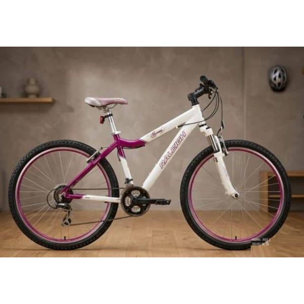 Used bicycle Raleigh Harmony