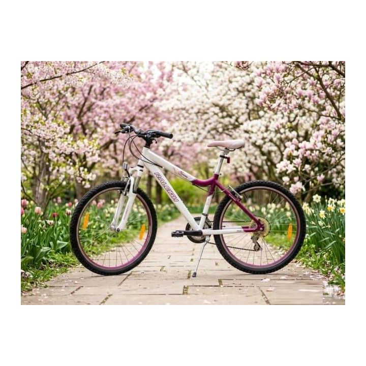 Used bicycle Raleigh Harmony