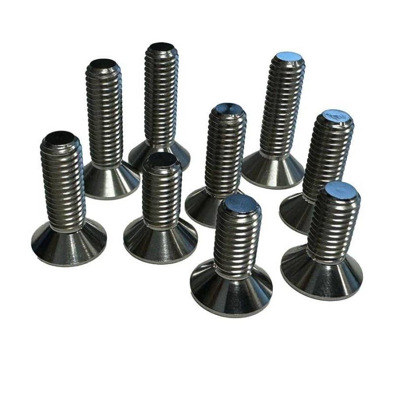 Titanium screws with Torx head