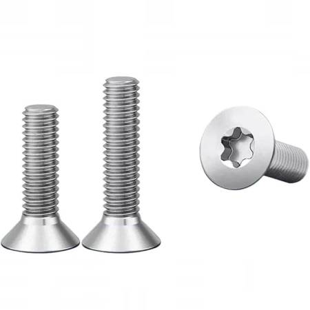 Titanium screws with Torx head