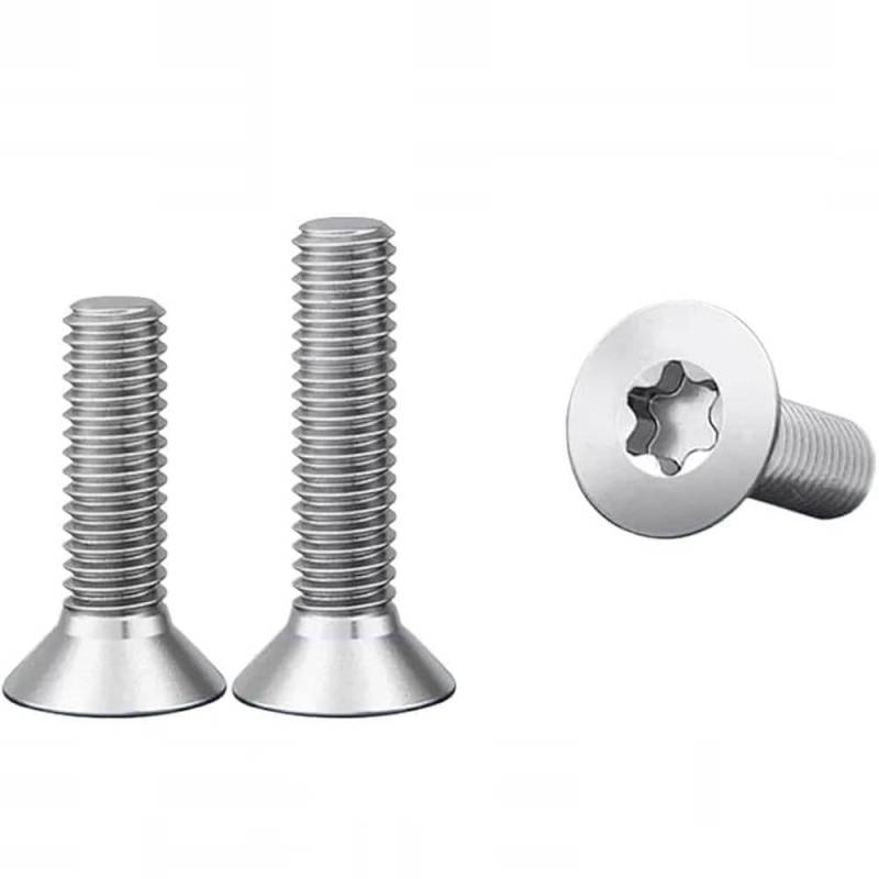Titanium screws with Torx head